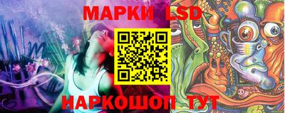 гидропоника Будённовск