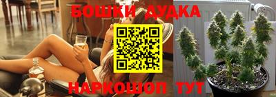 гидропоника Будённовск
