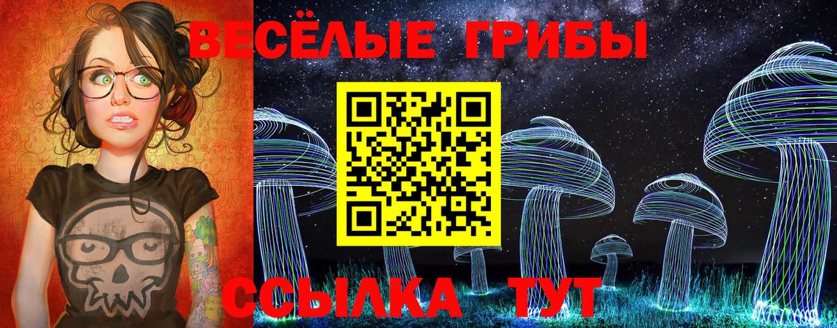 Псилоцибиновые грибы Cubensis  Галлюциногенные грибы Psilocybe  Вход с VPN  Находка 