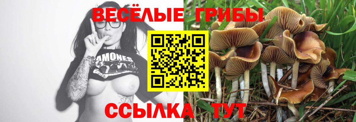 Галлюциногенные грибы мухоморы Находка